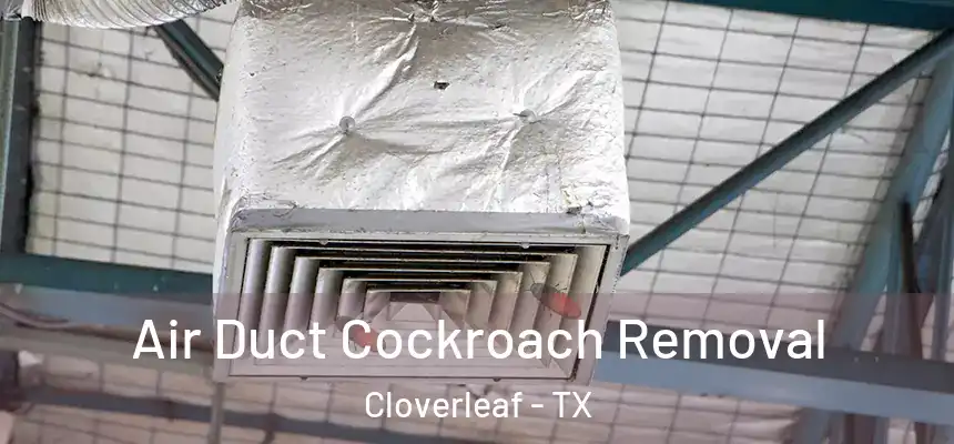  Air Duct Cockroach Removal Cloverleaf - TX