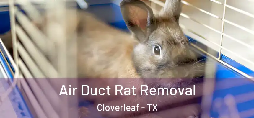 Air Duct Rat Removal Cloverleaf - TX