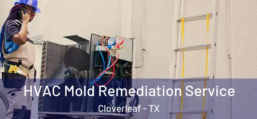  HVAC Mold Remediation Service Cloverleaf - TX