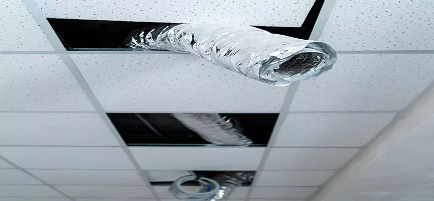 Our Air Duct Pet Hair Removal Services in Cloverleaf, TX