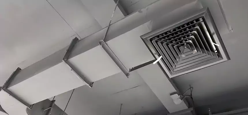 Restorative Allergy Relief Vent Cleaning – Coil, Blower & Housing Detail in Cloverleaf