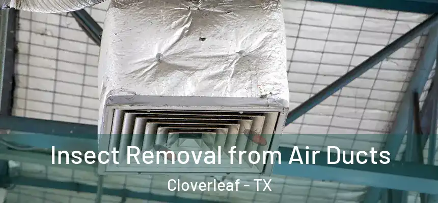 Insect Removal from Air Ducts Cloverleaf - TX