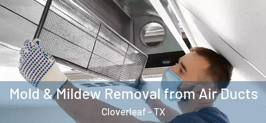  Mold & Mildew Removal from Air Ducts Cloverleaf - TX