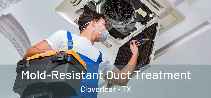 Mold-Resistant Duct Treatment Cloverleaf - TX