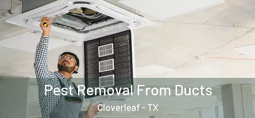 Pest Removal From Ducts Cloverleaf - TX