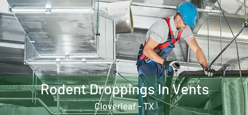  Rodent Droppings In Vents Cloverleaf - TX