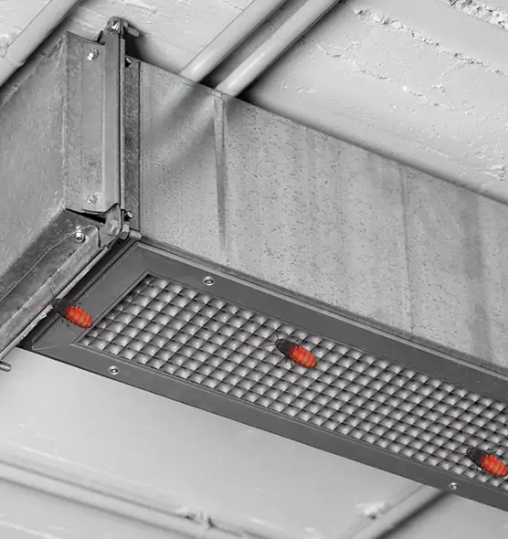 About Air Duct Cockroach Removal in Cloverleaf, TX