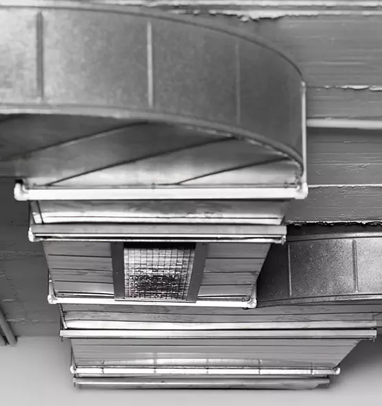 Professional Air Duct Pet Hair Removal in Cloverleaf, TX