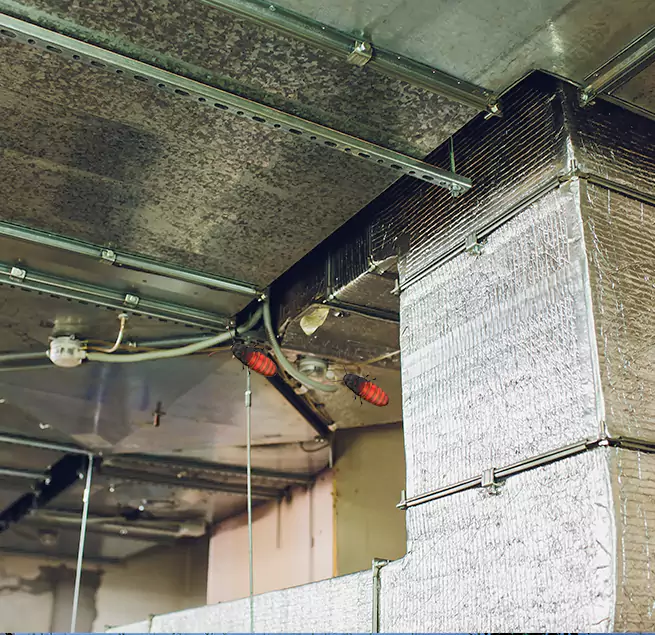 Why Homeowners & Businesses Trust Us in Cloverleaf, TX?