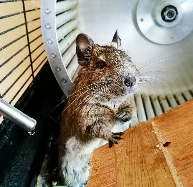 Why Homeowners & Businesses Trust Us Cloverleaf, TX