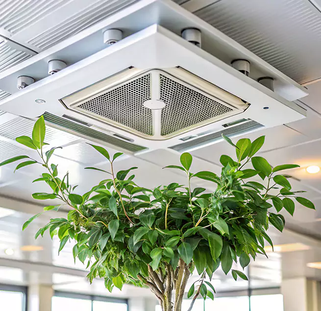 Why Homeowners & Businesses Trust Us in Cloverleaf, TX