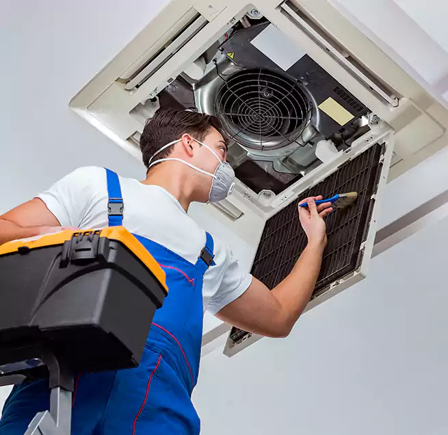 Why Homeowners & Businesses Trust Us in Cloverleaf, TX?